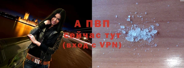 ПСИЛОЦИБИНОВЫЕ ГРИБЫ Ельня