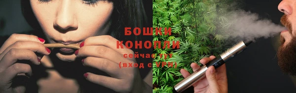 дурь Заводоуковск