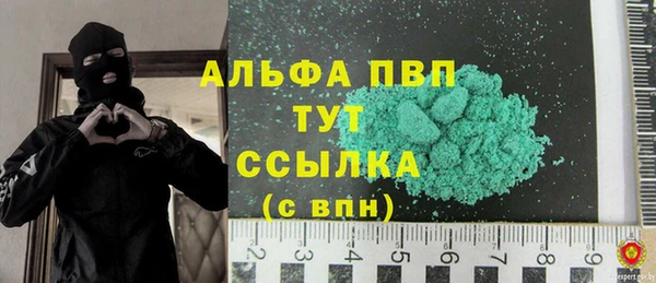 ПСИЛОЦИБИНОВЫЕ ГРИБЫ Ельня