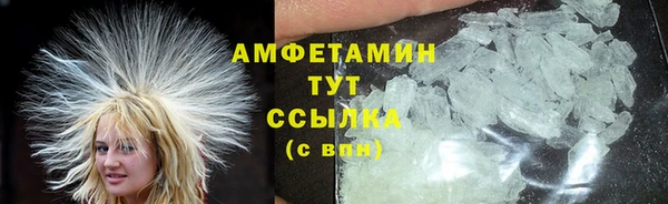 ПСИЛОЦИБИНОВЫЕ ГРИБЫ Ельня