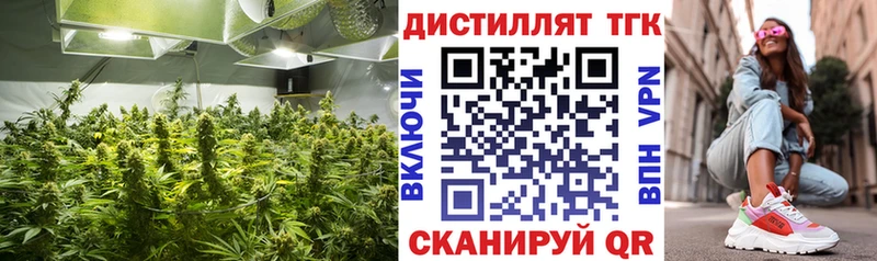 ТГК вейп с тгк  KRAKEN   Ивантеевка 