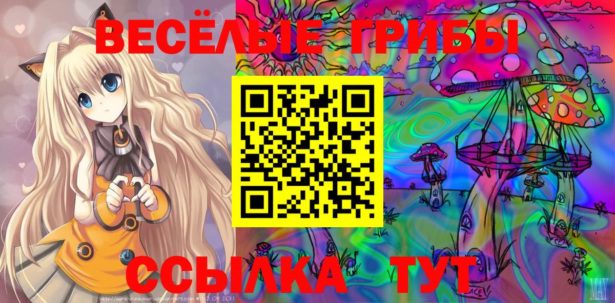 Галлюциногенные грибы Psilocybine cubensis Ивантеевка
