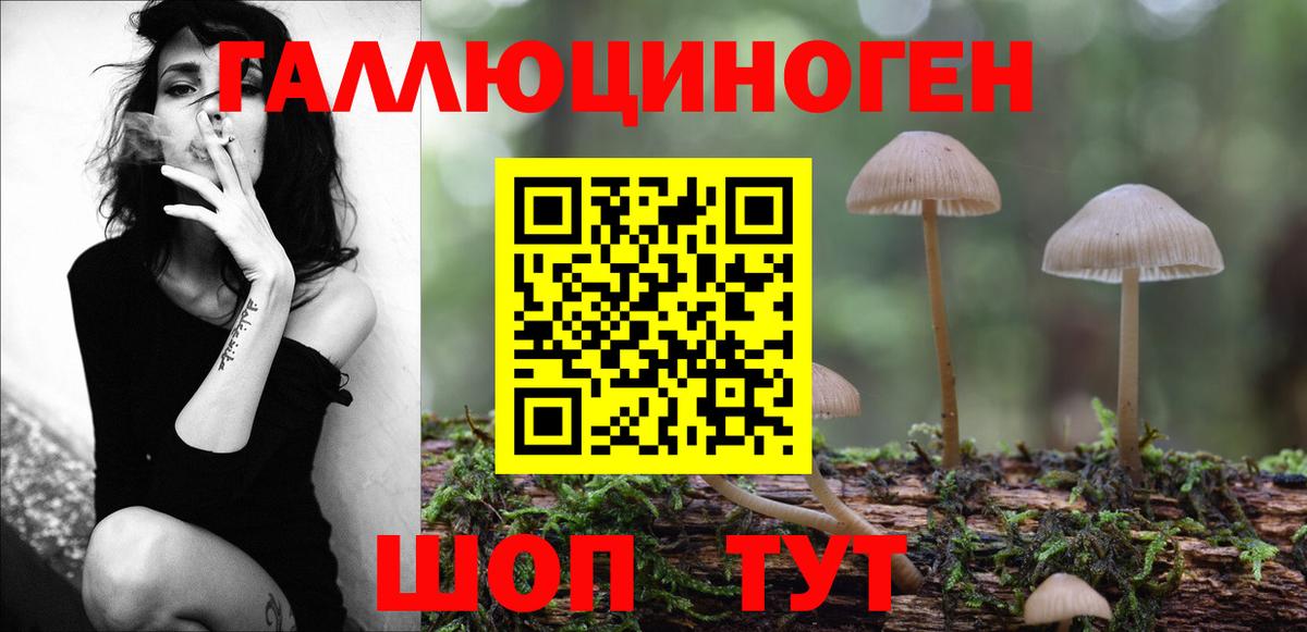 Псилоцибиновые грибы Psilocybe  Псилоцибиновые грибы Cubensis  Вход с VPN  Ивантеевка 